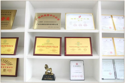 榮譽(yù)背后的含金量 一份嚴(yán)格到咂舌的技術(shù)牌照與技術(shù)咨詢(xún)